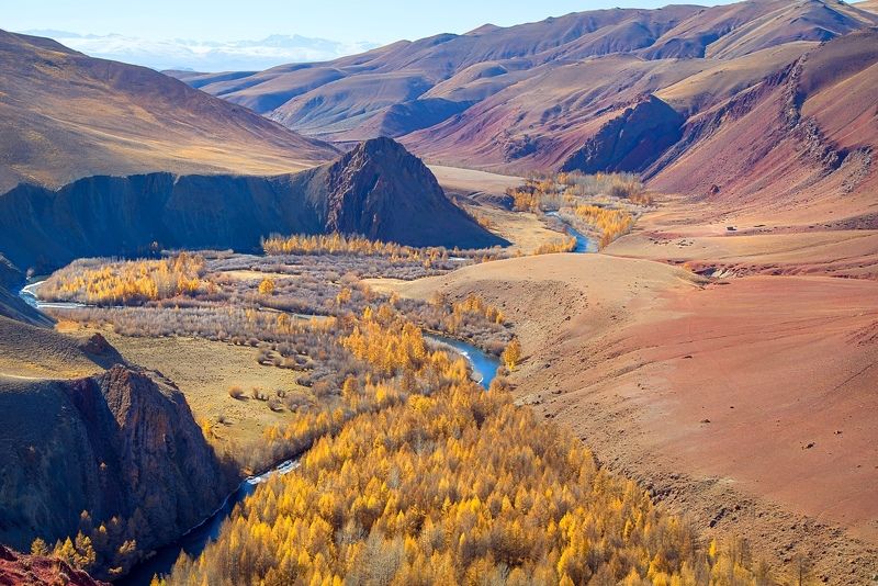 Горный Алтай, урочище Кокоря. фото превью