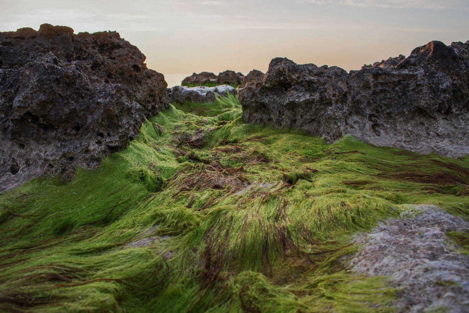 , Ольга Беккер