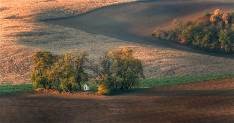 южная моравия,пейзаж,hils,часовенка,св.варварa,линии,chapel,south moravian,lines,свет,czech,осень,чехия,landscapes. Часовенка Санта Барбара фото превью