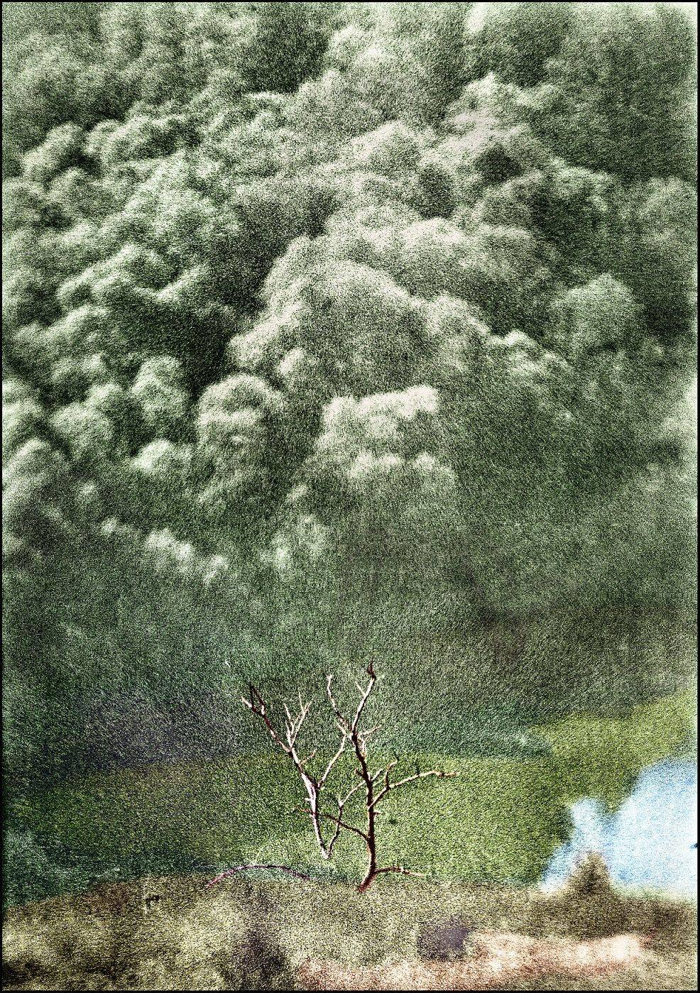 , Меднов Влад