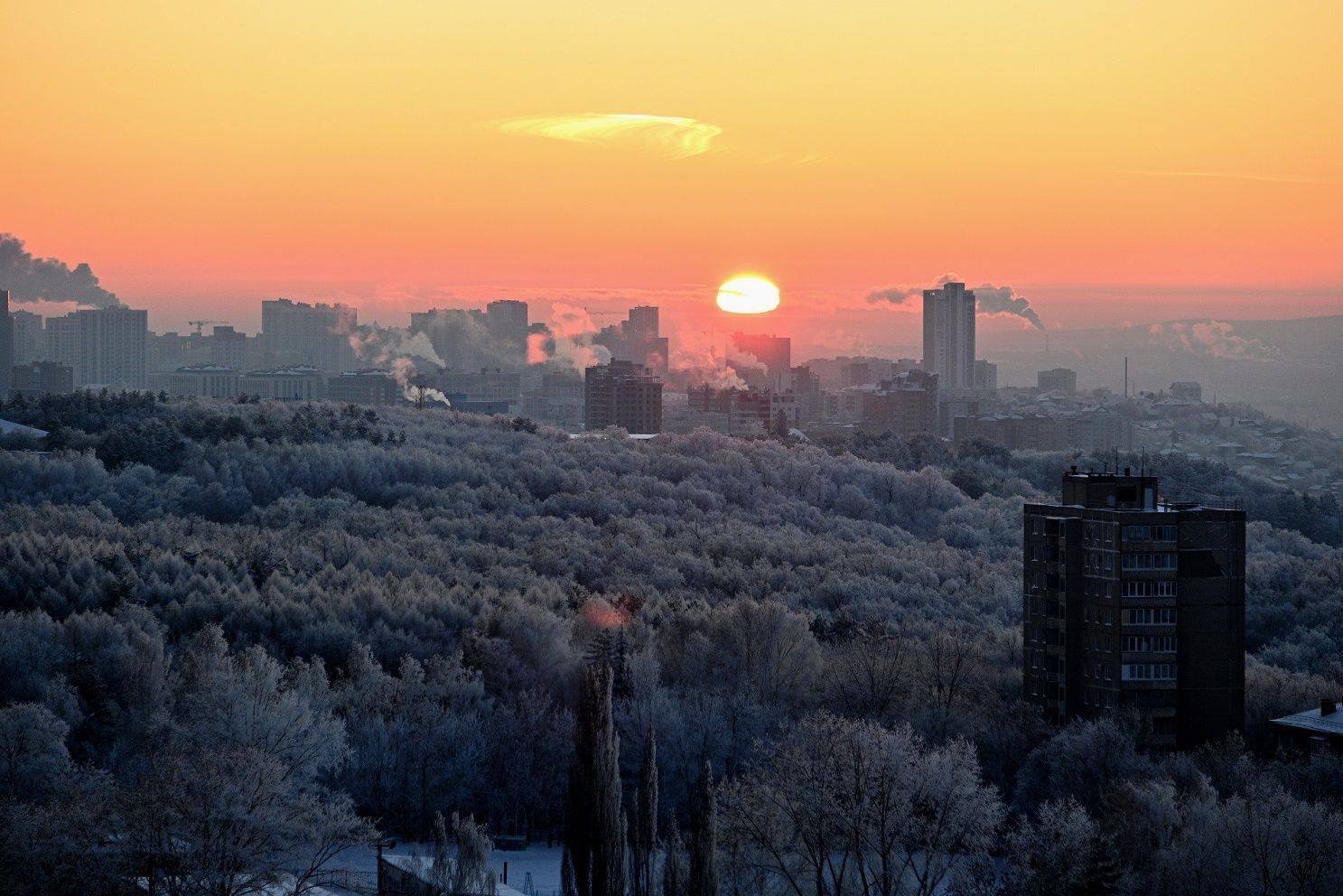 , Меднов Влад