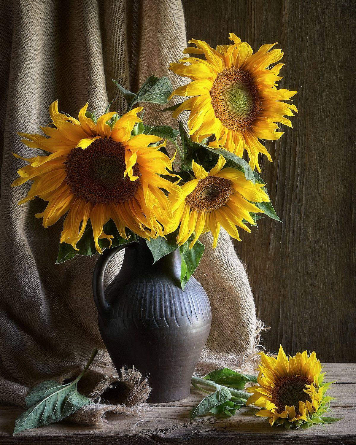 сергей алексеев, натюрморт, Сергей Алексеев