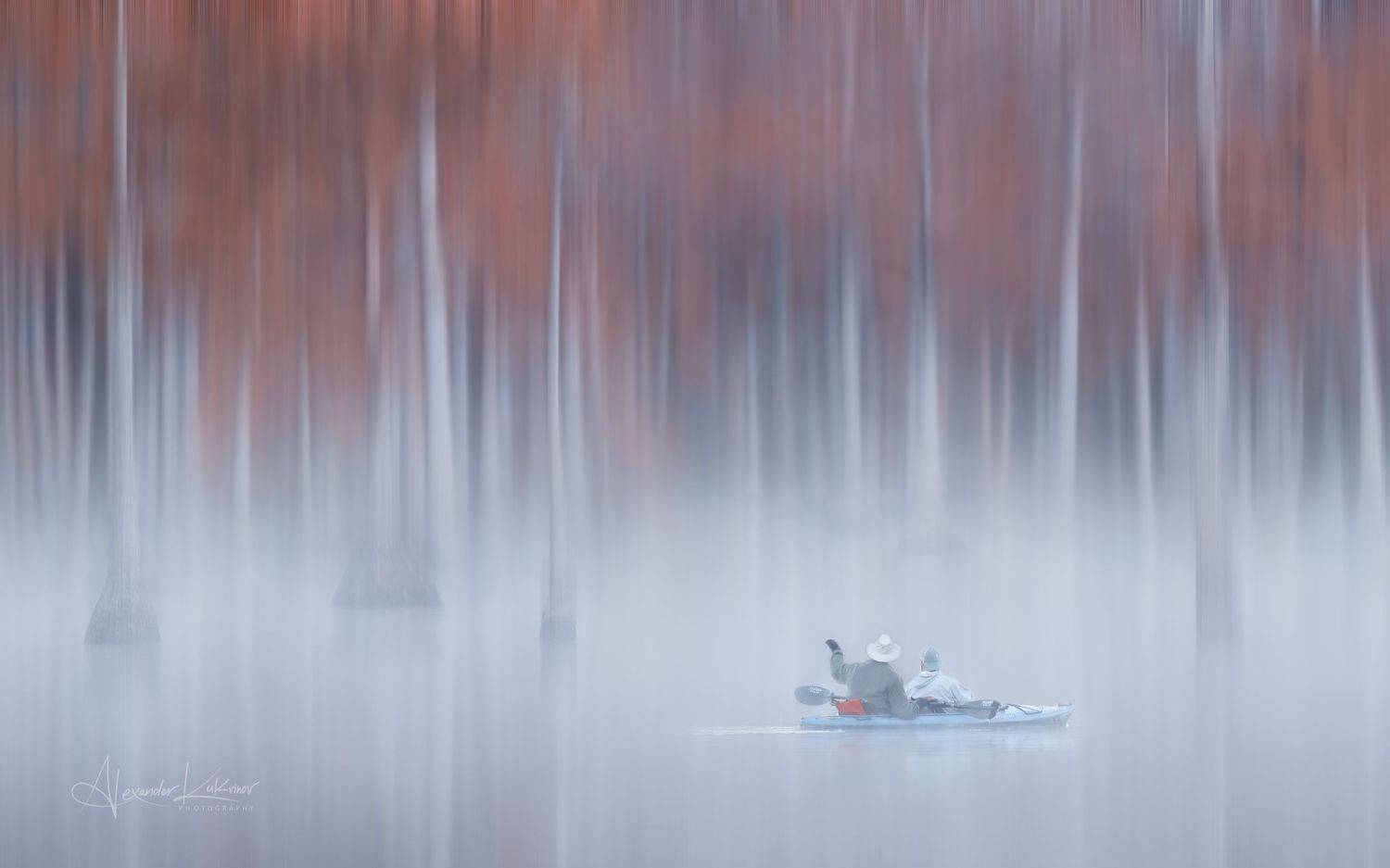 кипарисы,джорджия,рассвет,пейзаж, Александр Кукринов