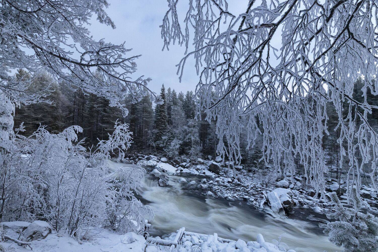 Кольский полуостров, Гусева Елена