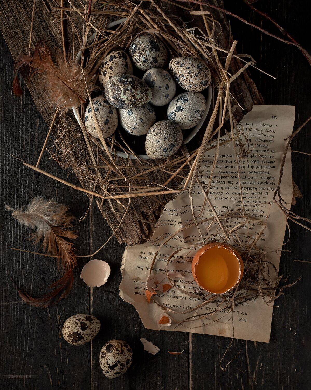 , Дмитрий Чернин