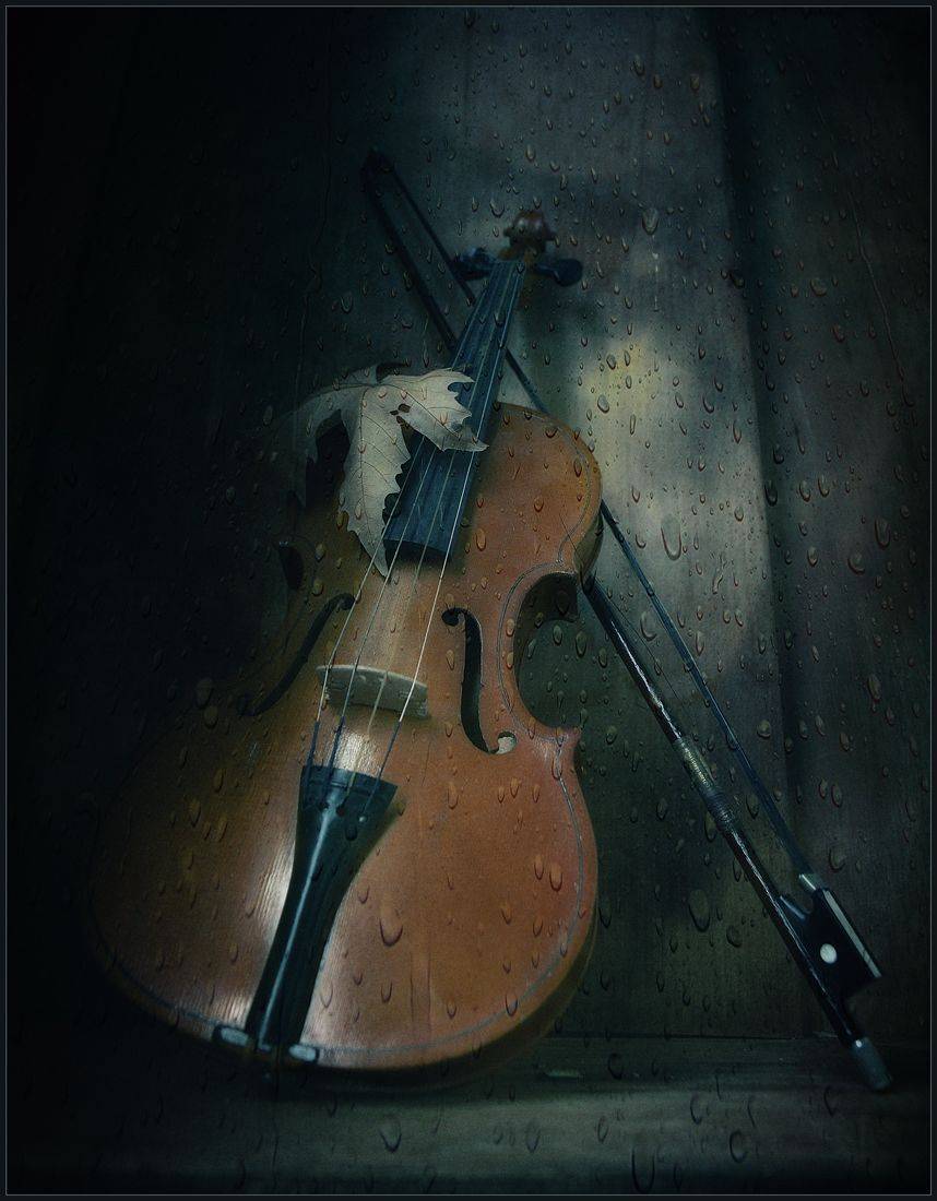 , Хромеев Александр