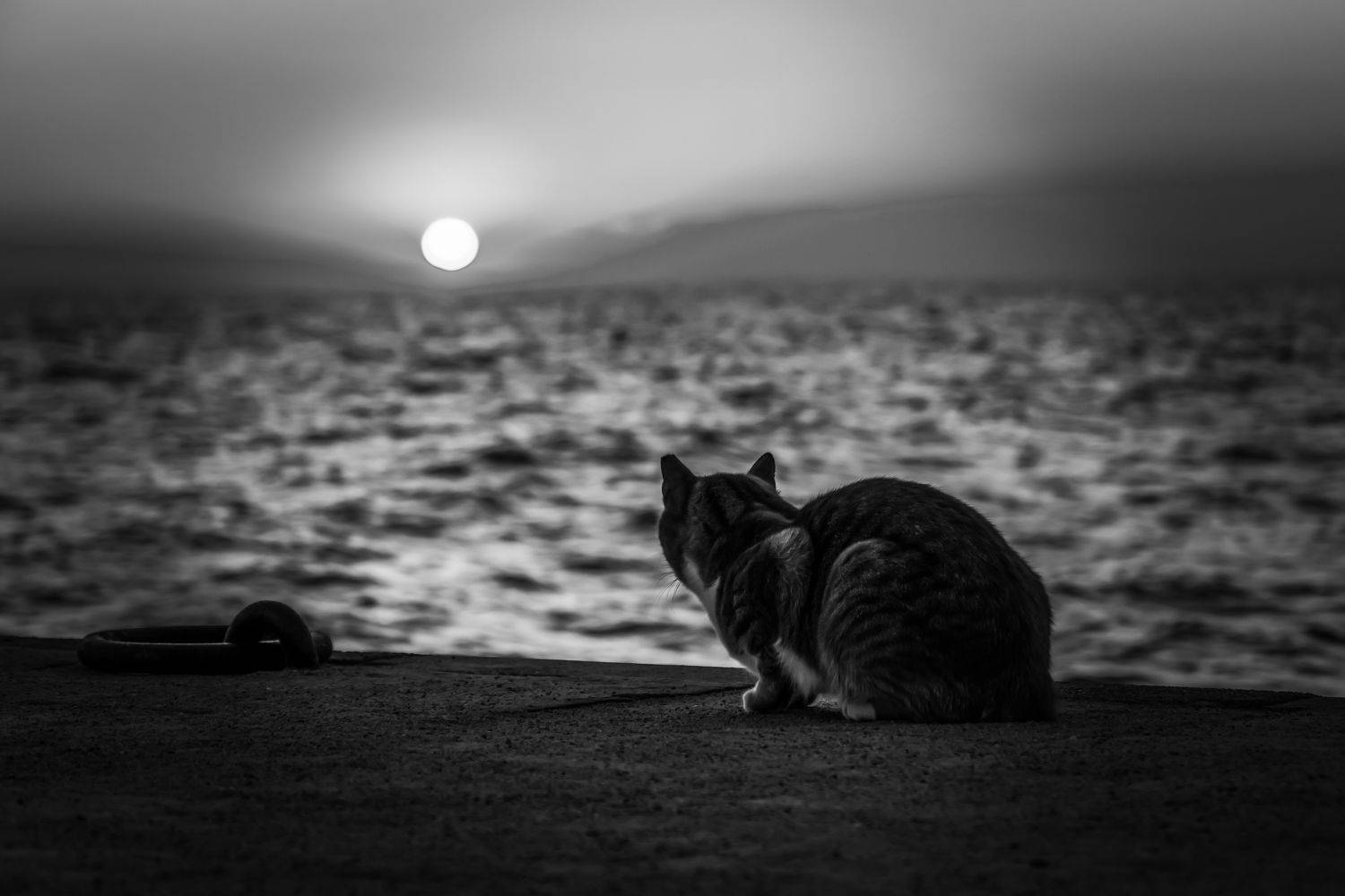 , Alexander Shilov