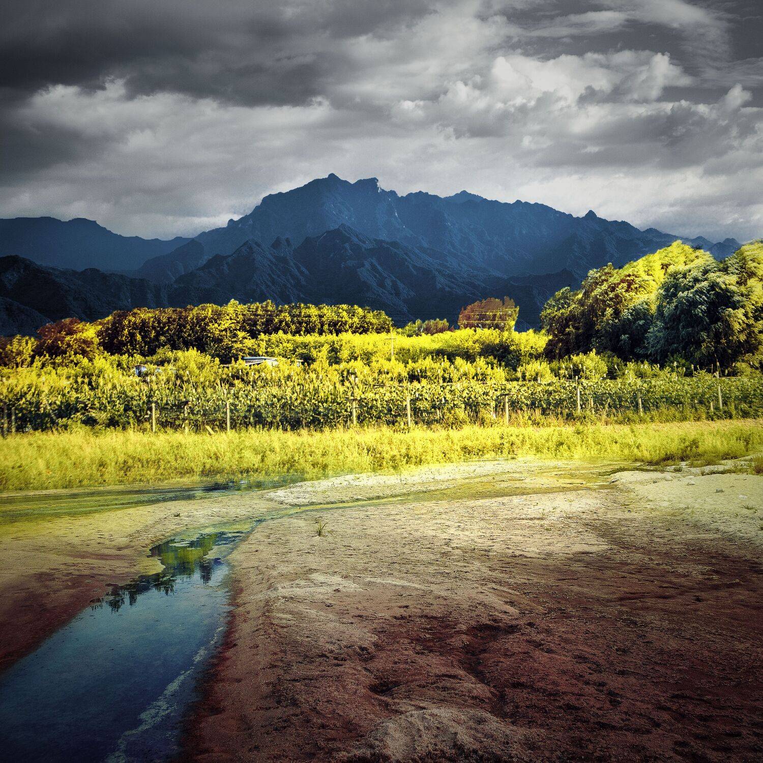 村头小河, 吴 微雨墨烟鸿