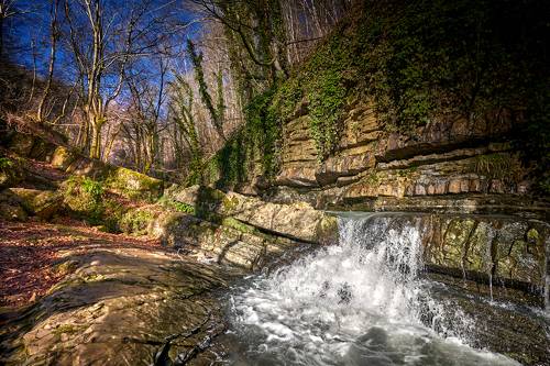 В Кавказских джунглях