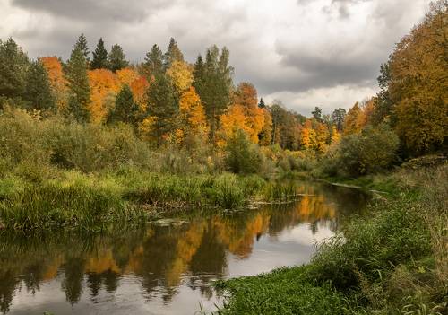 Краски осени в Брянском лесу