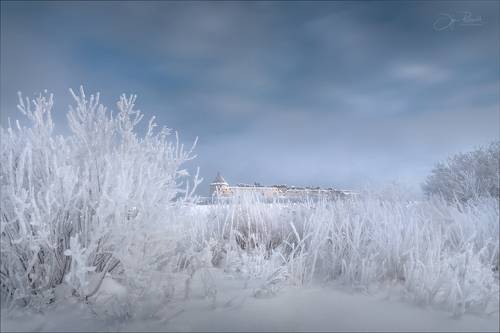 Снежное безмолвие