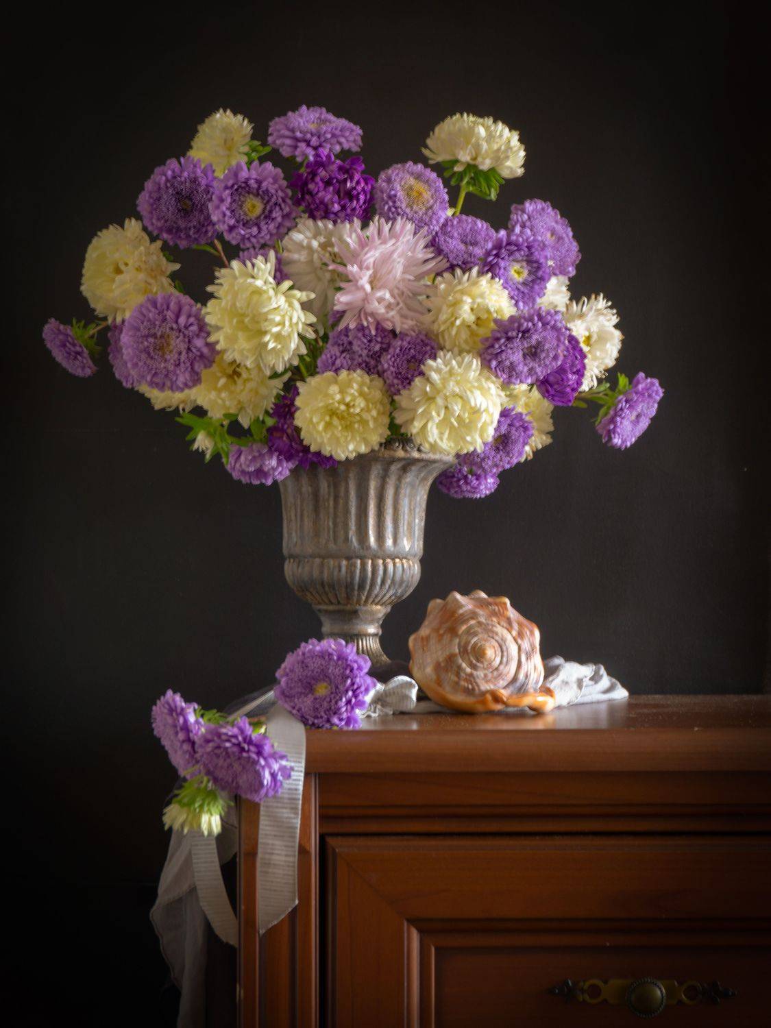 астры, ракушка, Milla Walmus