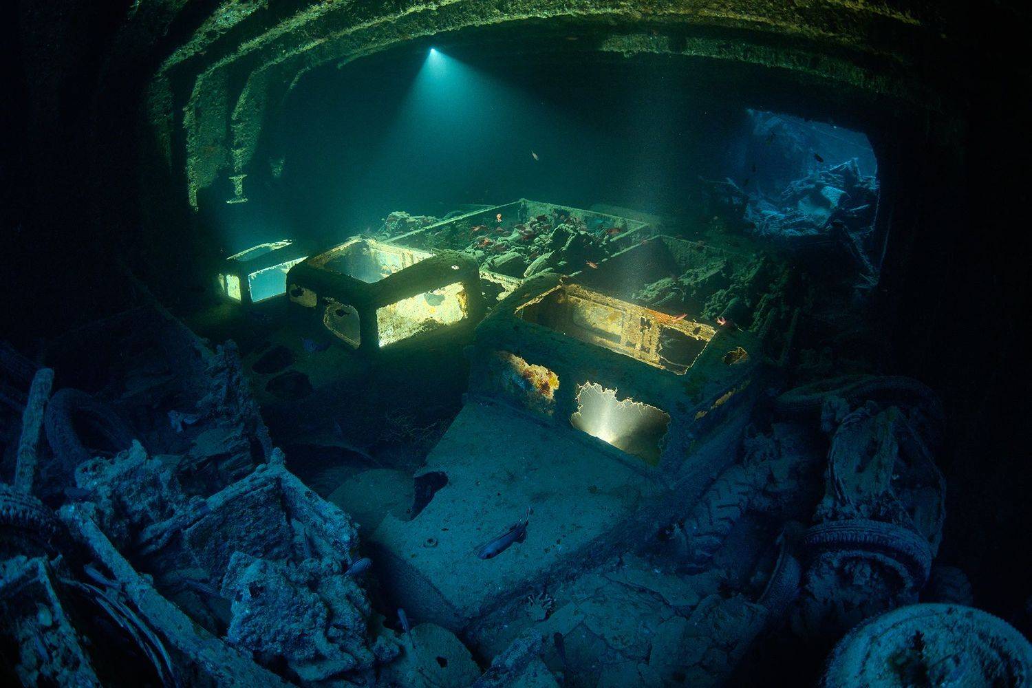 подводная фотосъемка, дайвинг, море, рэк, тистлигорм, paditv., PAVEL PEREPECHAEV