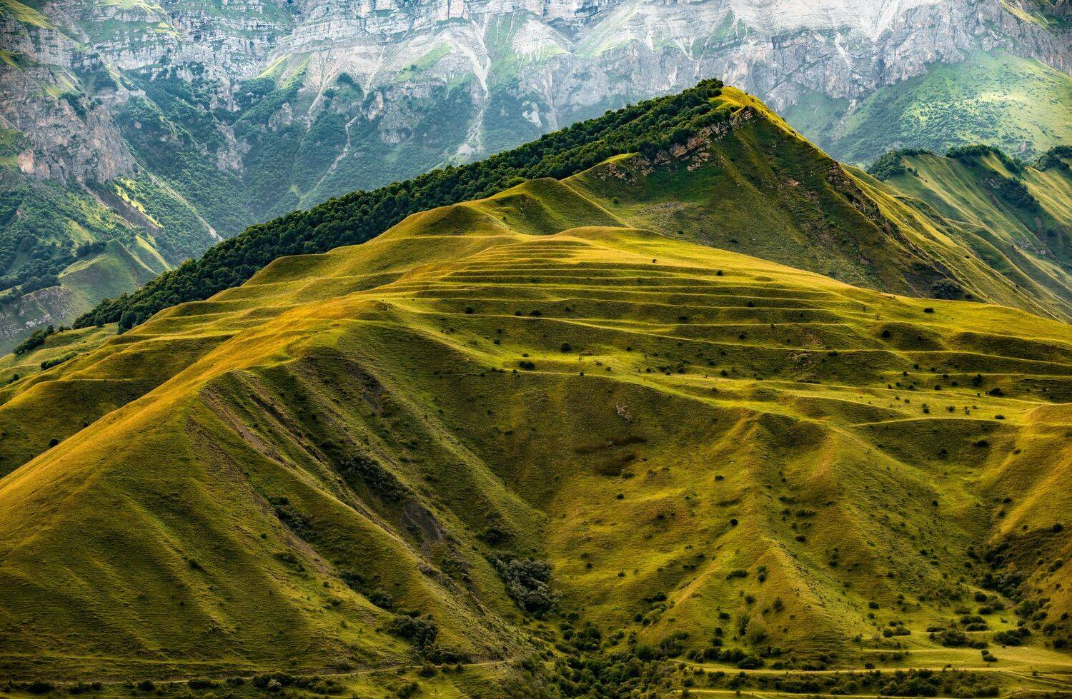 , Безмолитвенный Александр