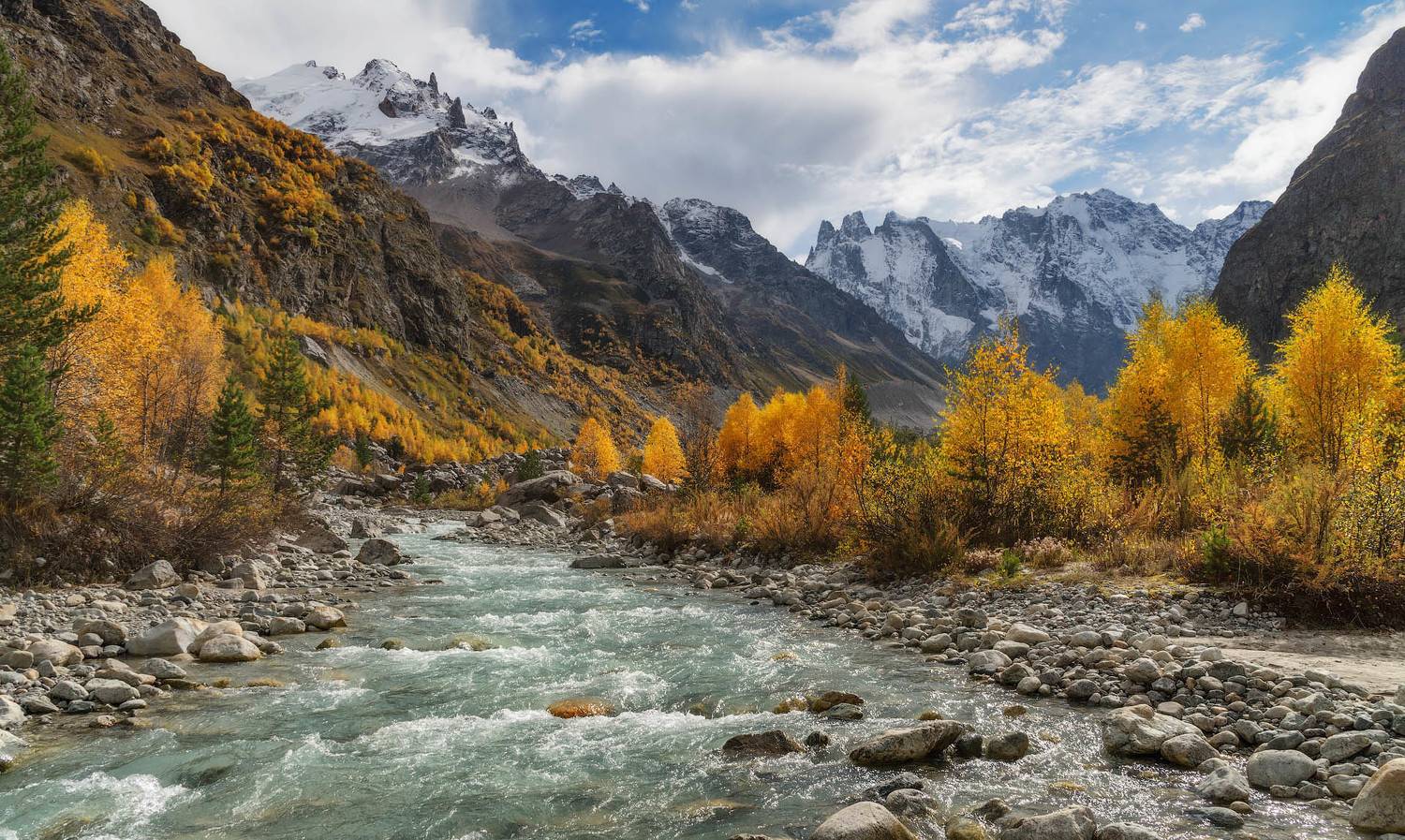 , Шевченко Юрий