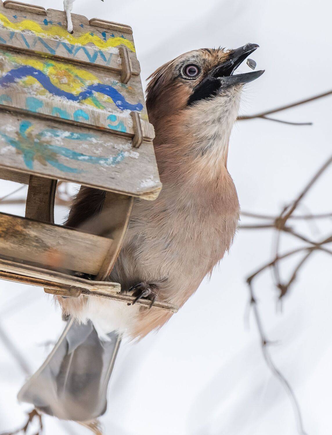 , Дэм Константин