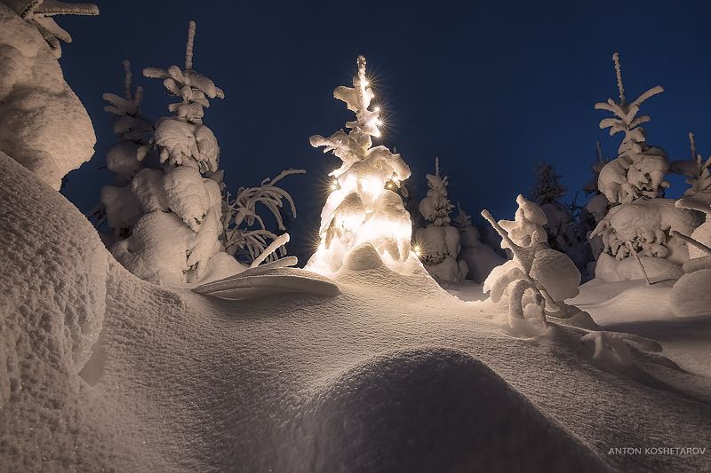В лесу родилась Ёлочка фото превью
