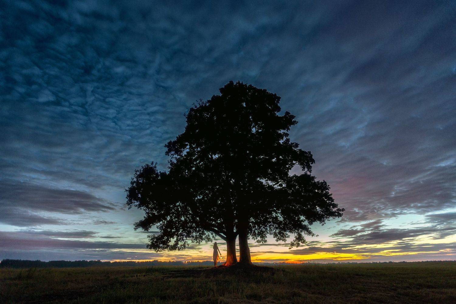 , Юрий Столыпин