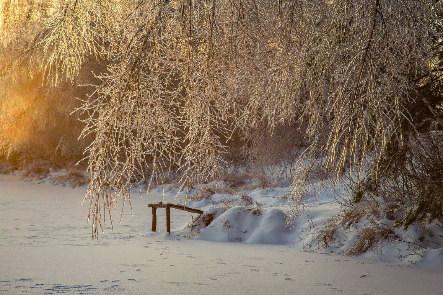 утро мороз лед рассвет серково наледь, Дмитрий Алексеев