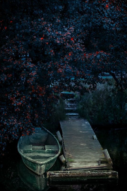 Silence фото превью