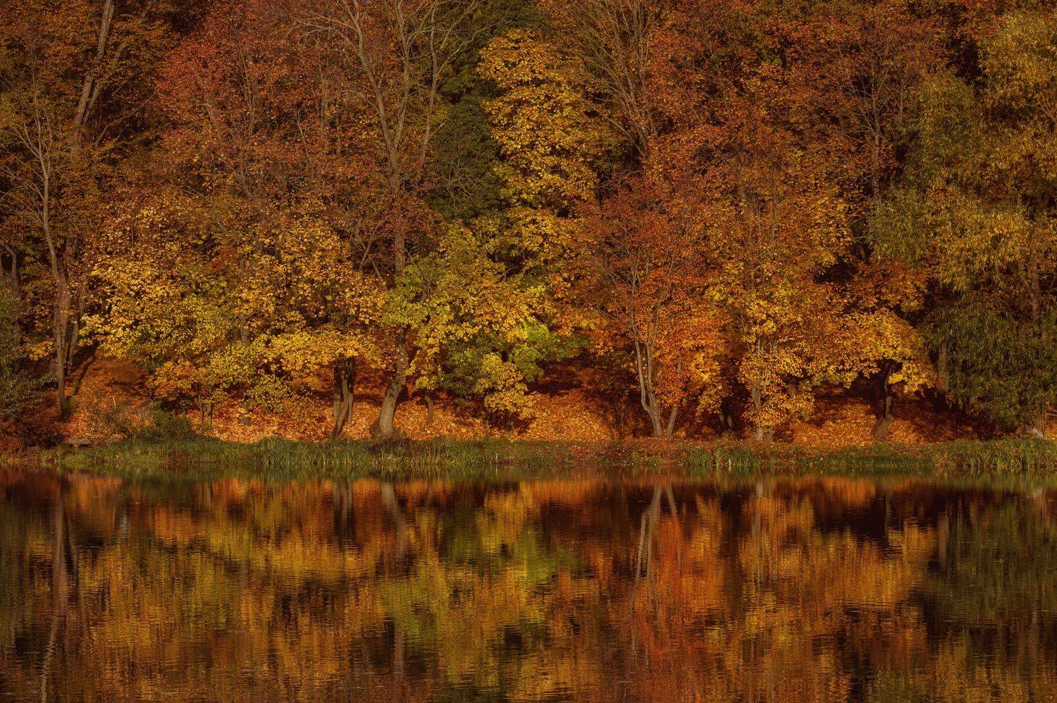 парк вода, Сергей Бибиков