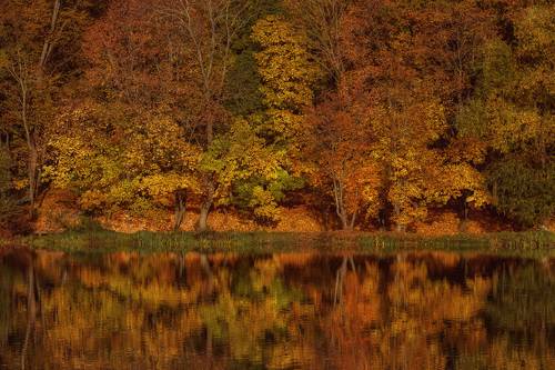 Богородицк парк