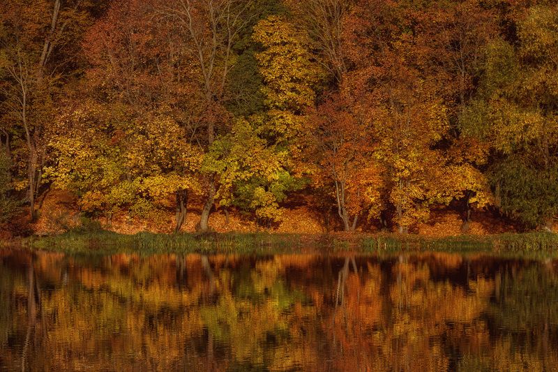 парк вода Богородицк парк фото превью