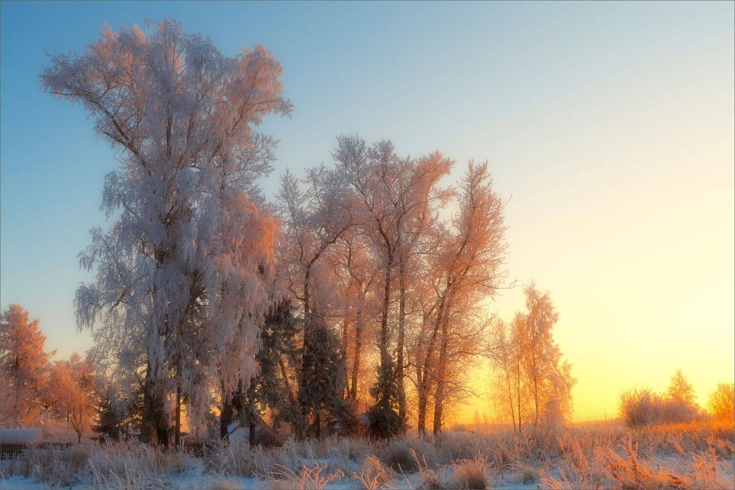 пейзаж, зима, вечер, деревня, свет, цвет, александр никитинский, Никитинский Александр