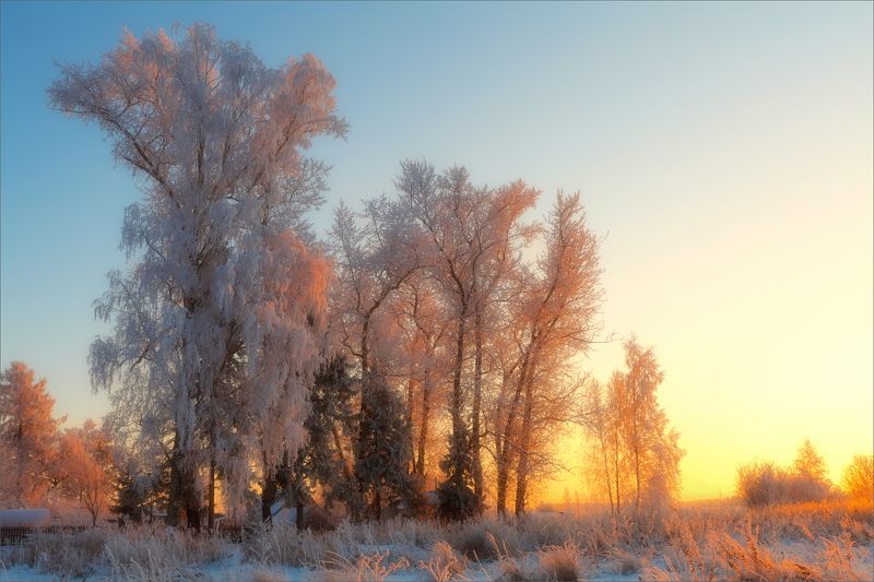 пейзаж, зима, вечер, деревня, свет, цвет, александр никитинский Зимний вечер... фото превью