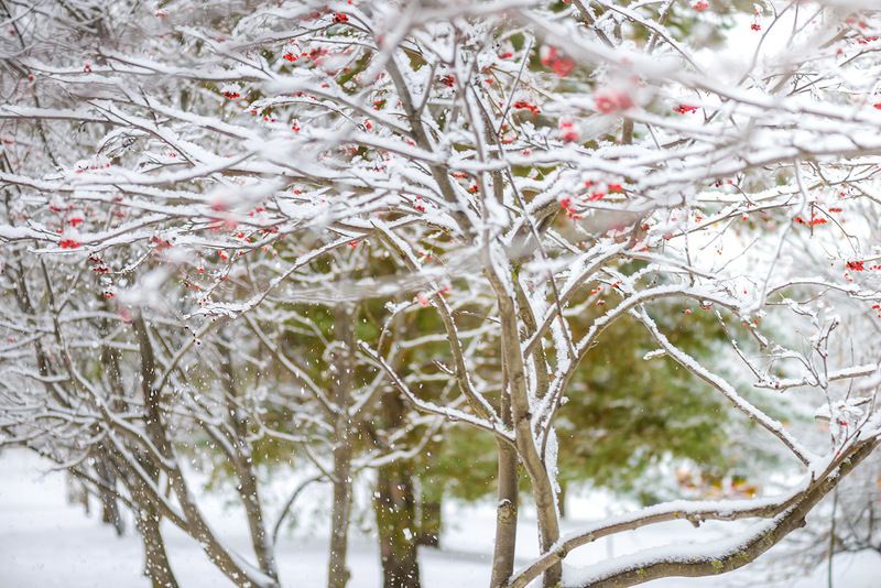 ноябрь фото превью