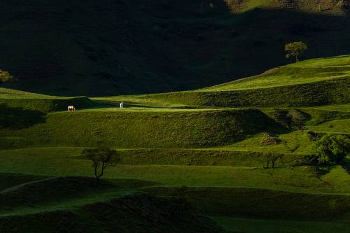 Horses and terrasses