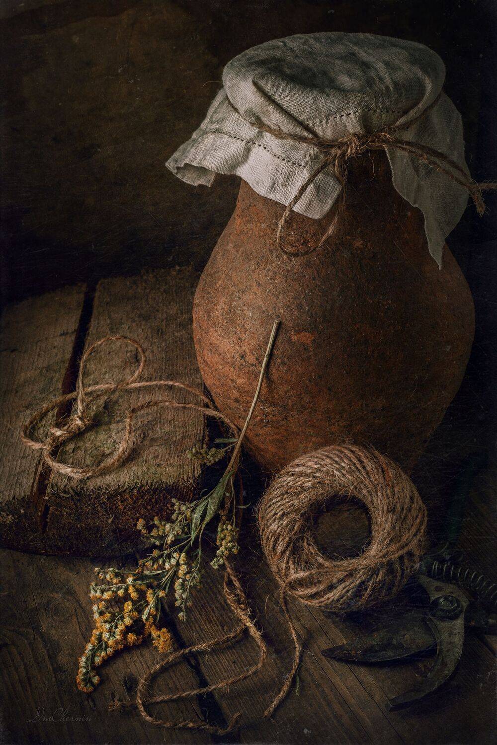 , Дмитрий Чернин