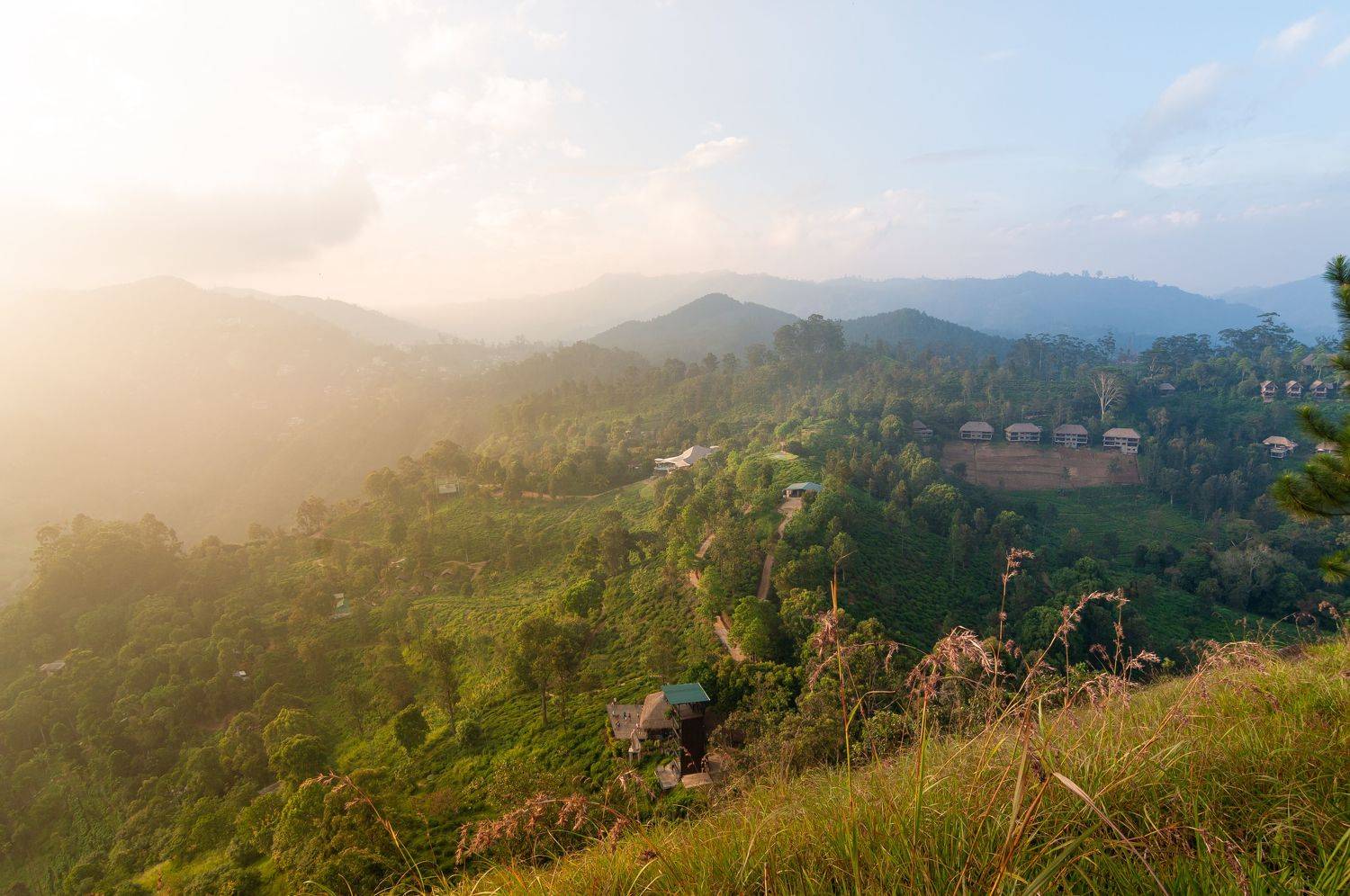 лето, природа, шри-ланка, горы, поле, пейзаж, закат, джунгли, солнце, Александр Кыров