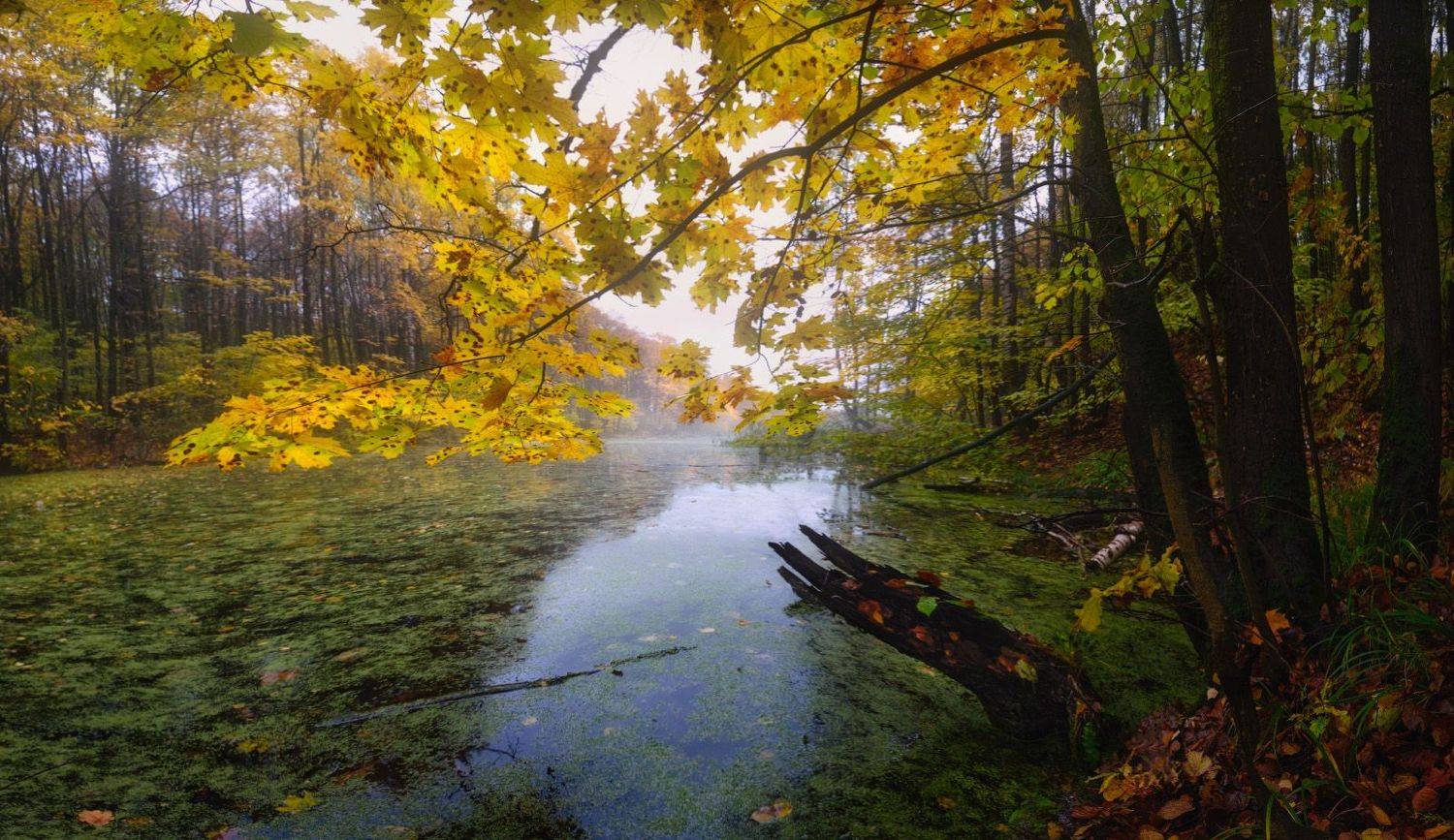 тула, щегловская засека, высокое, Сергей Кочергин