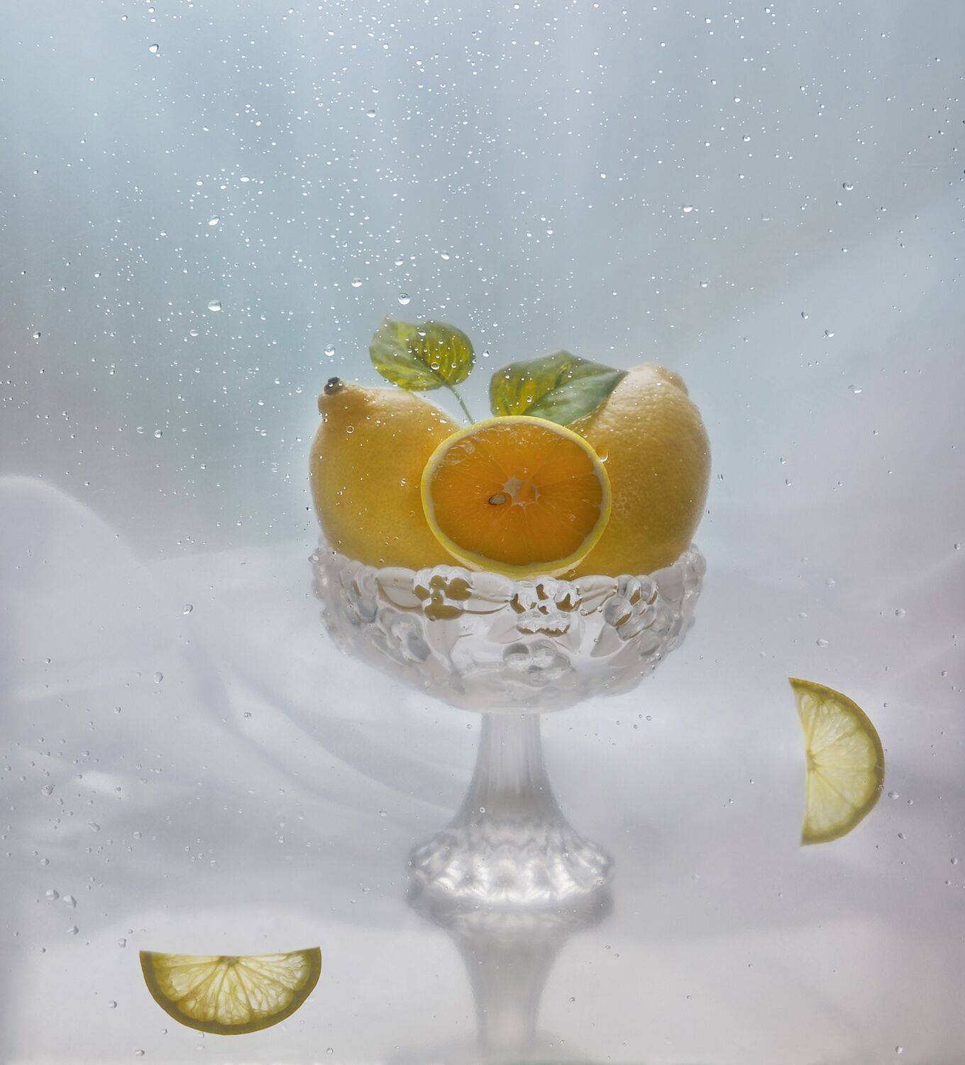 , Тришина Галина