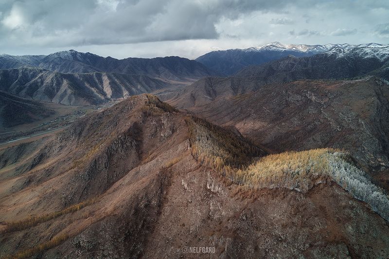алтай, чике-таман, горы, осень  фото превью