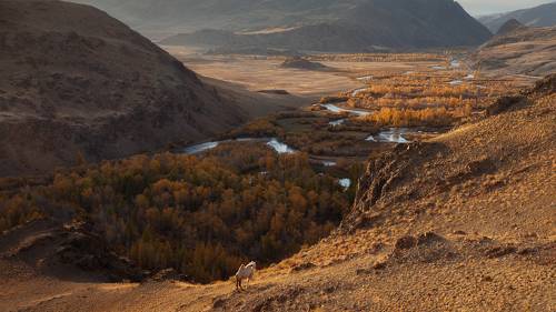Красная горка. Алтай.