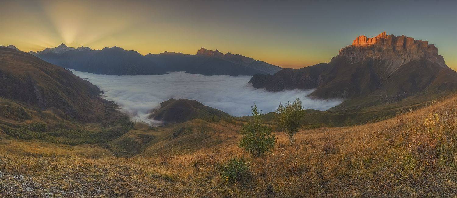 , ПУЗЕНКО ДМИТРИЙ