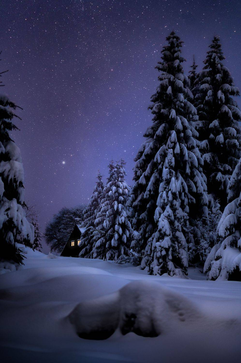 winter, snow, christmas, night, sky, stars, Stanislav Judas