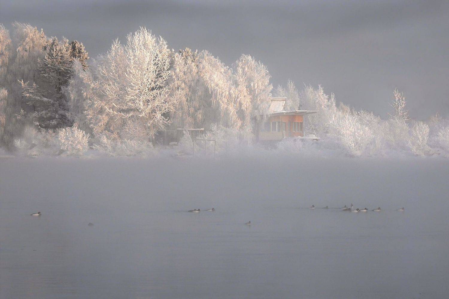 , Александр Попов