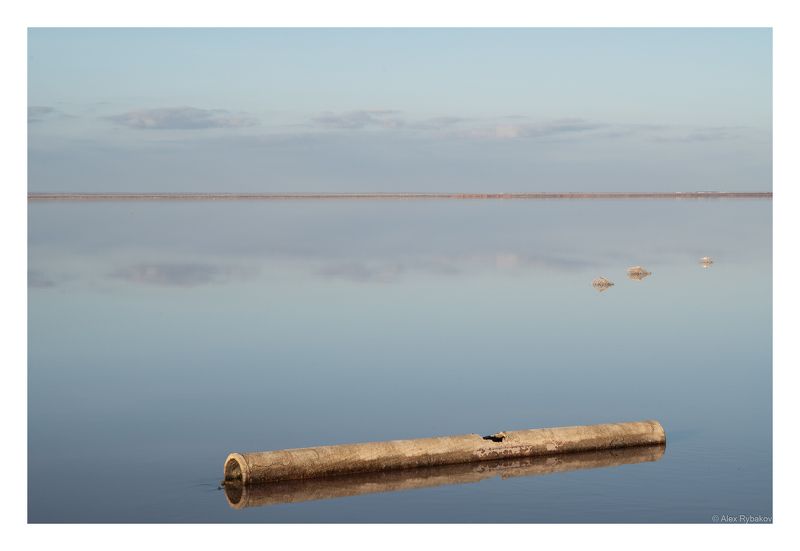 Дудочка крысолова фото превью