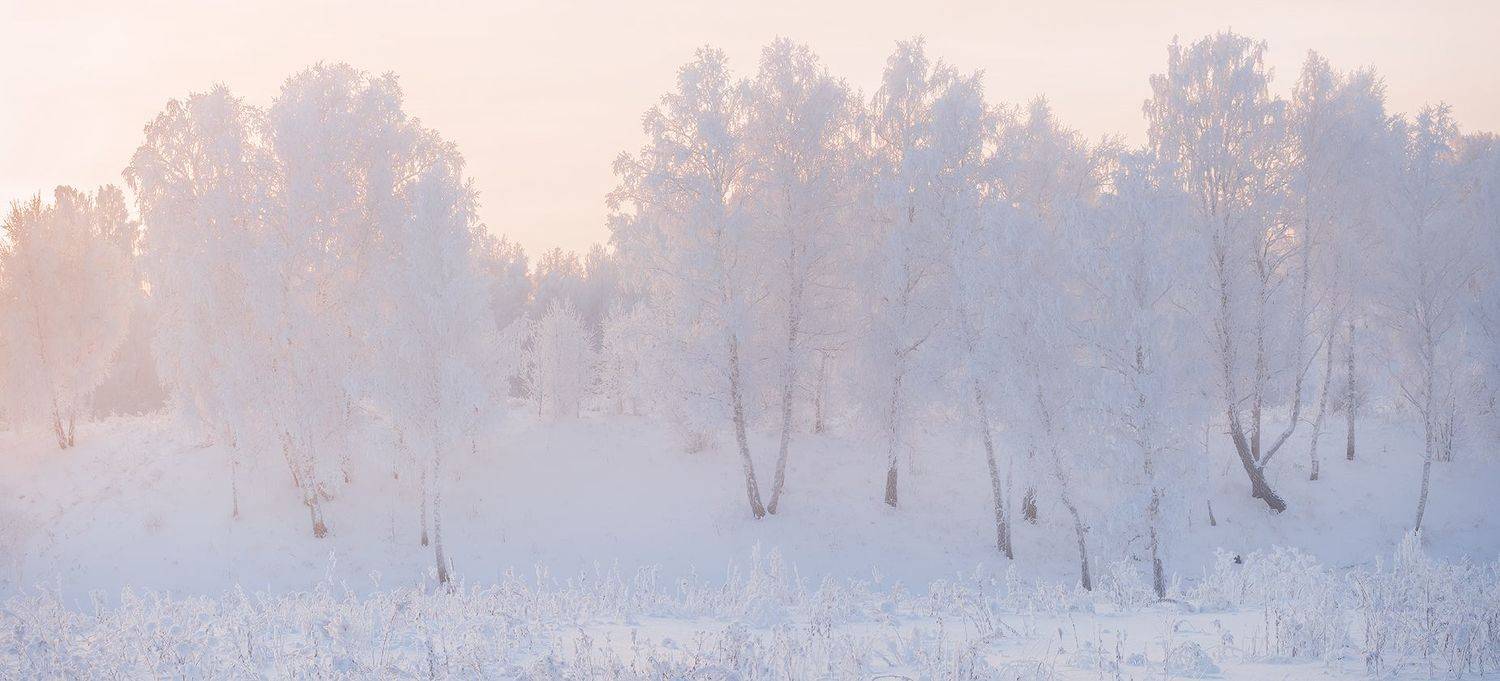 , Лещёнок Александр