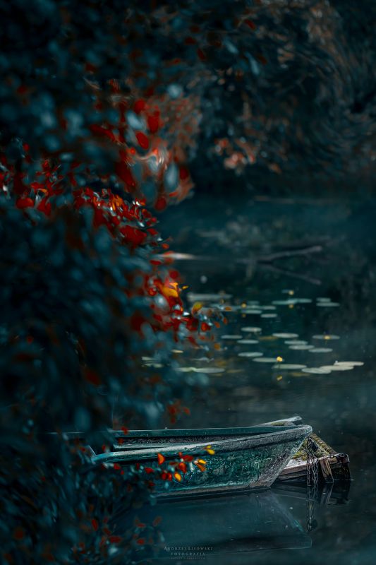 1 фото превью