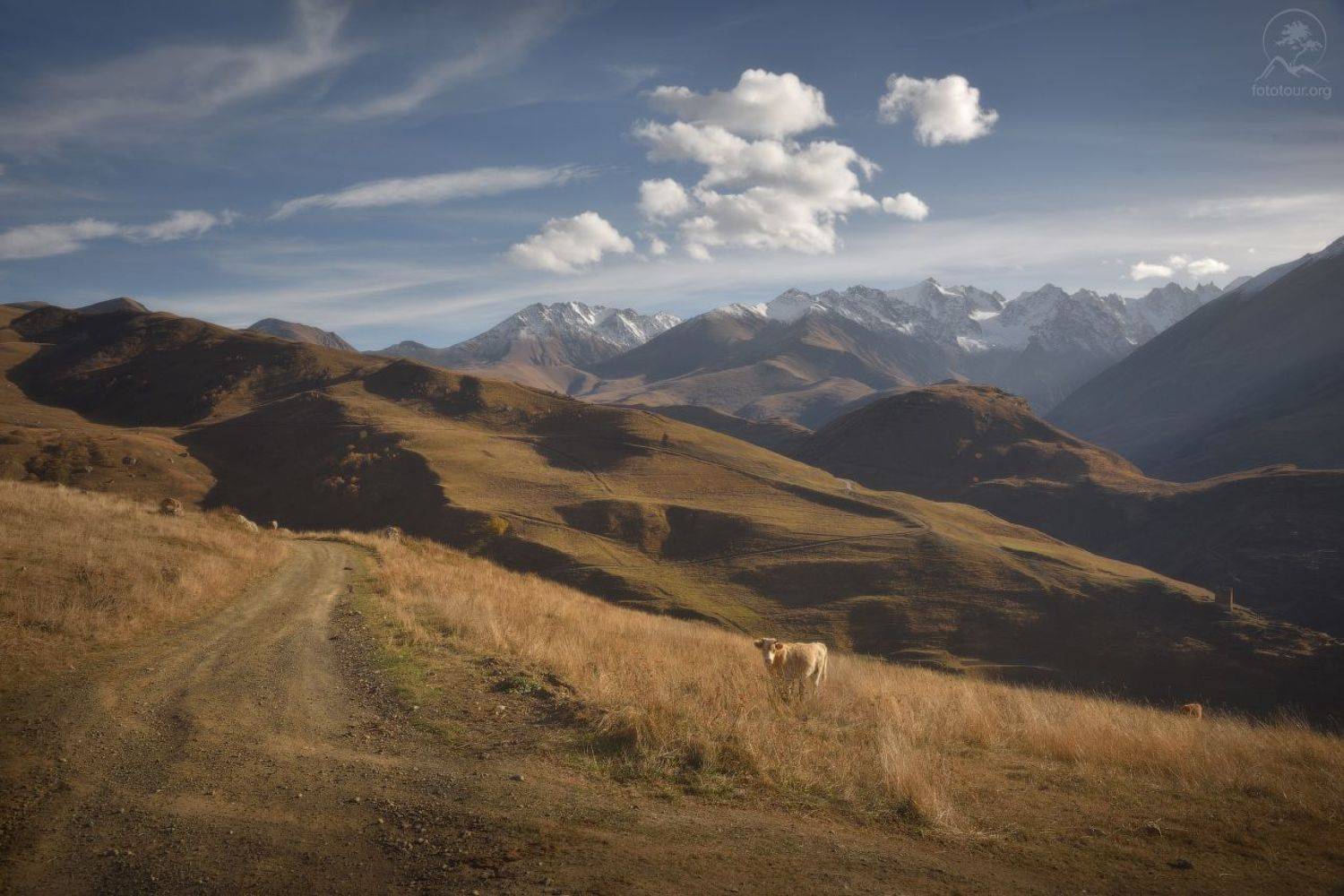 дигория, осетия, Анатолий Гордиенко