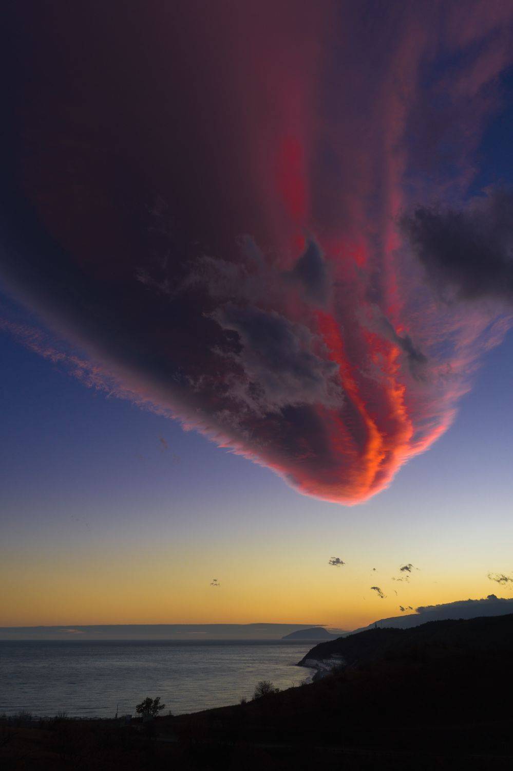 , Андрей Кривцов