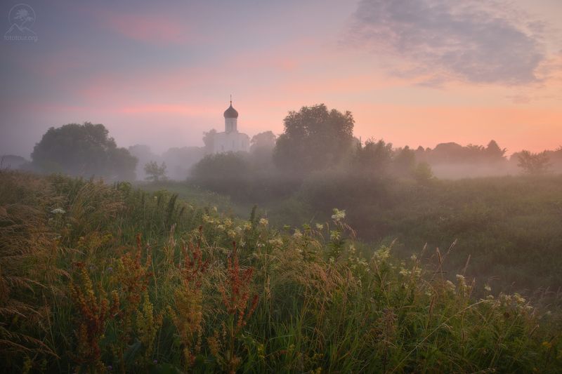нерль, боголюбово Июнь фото превью