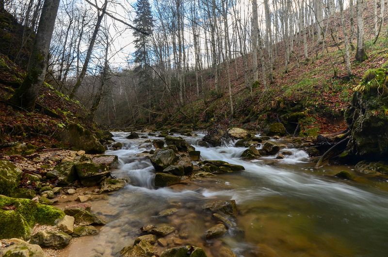 осень, река, мезмай, лес  фото превью