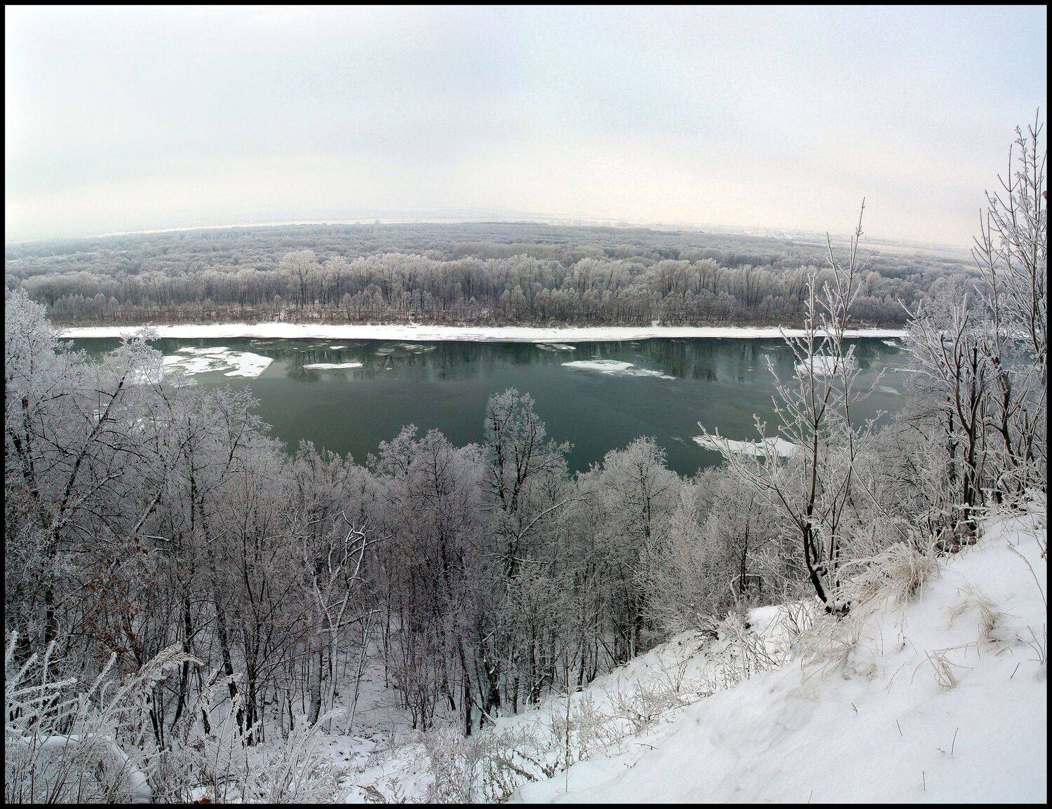 , Меднов Влад