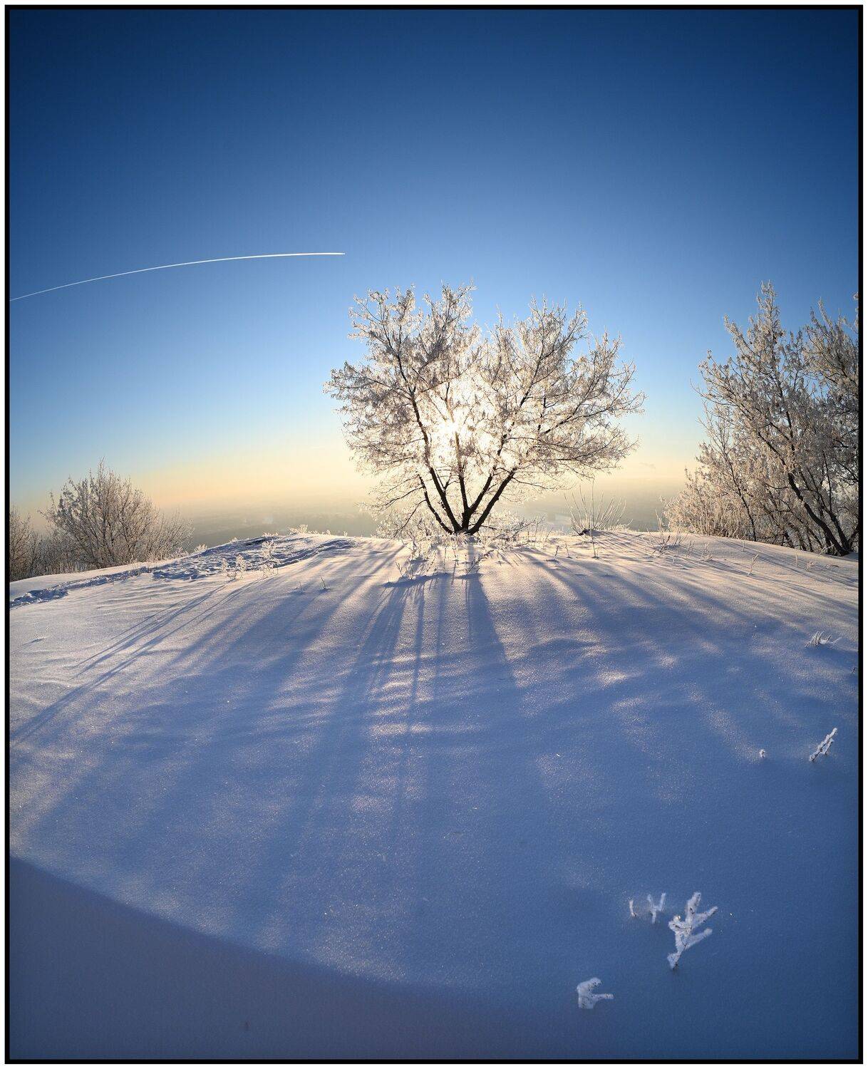 , Меднов Влад