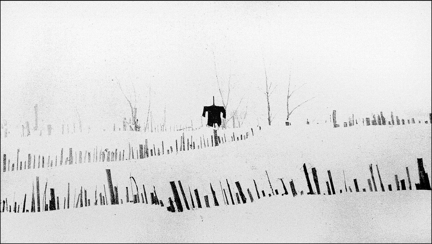 , Меднов Влад